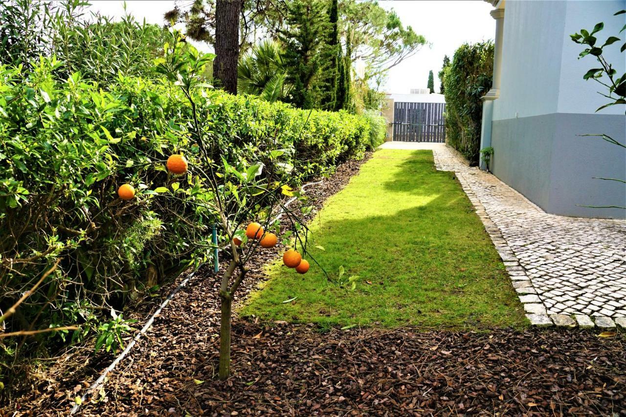 Charming Exceptional Golf Villa In Algarve FAO Dış mekan fotoğraf